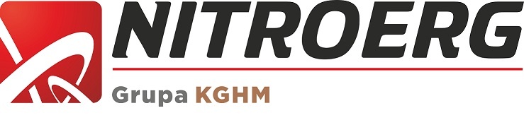 nitroerg_logo_m_739
