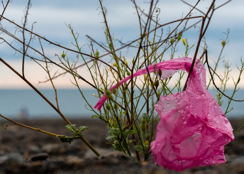 Szacunki dot. opłaty recyklingowej nie za bardzo się sprawdziły foliówka foliowka torba jednorazowa zrywka 