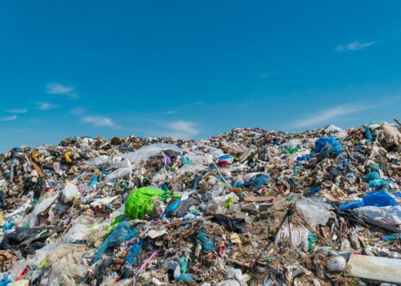 Bioodpady komunalne posegregowane i poddawane recyklingowi u źródła w Polsce”