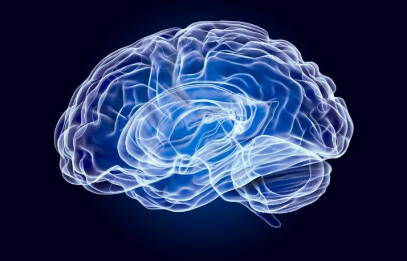 Jakość, dostępność, profesjonalizm Polski lider efektywnej diagnostyki neurologicznej