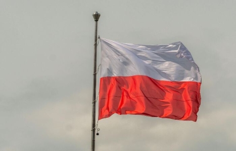 wybieram polskie